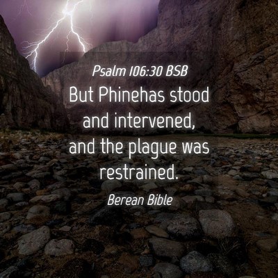 Picture 04 - Psalm 106:30 BSB - But Phinehas stood and intervened, and the plague - Bible Verse Picture
