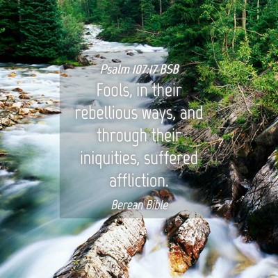 Picture 04 - Psalm 107:17 BSB - Fools, in their rebellious ways, and through - Bible Verse Picture