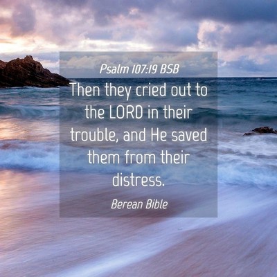 Picture 04 - Psalm 107:19 BSB - Then they cried out to the LORD in their trouble, - Bible Verse Picture