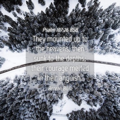 Picture 04 - Psalm 107:26 BSB - They mounted up to the heavens, then sunk to the - Bible Verse Picture