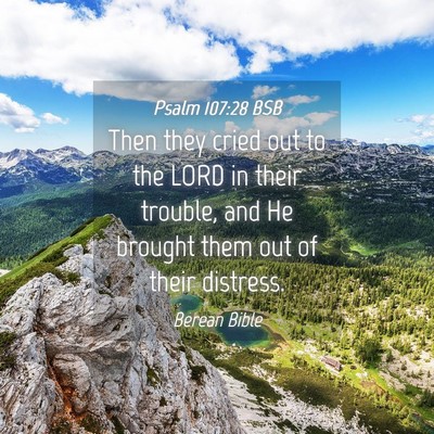 Picture 04 - Psalm 107:28 BSB - Then they cried out to the LORD in their trouble, - Bible Verse Picture