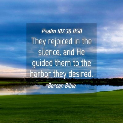 Picture 04 - Psalm 107:30 BSB - They rejoiced in the silence, and He guided them - Bible Verse Picture