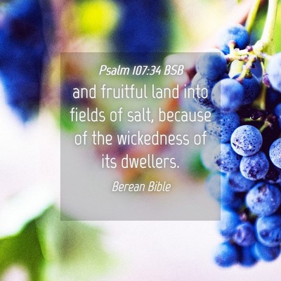 Picture 04 - Psalm 107:34 BSB - and fruitful land into fields of salt, because of - Bible Verse Picture