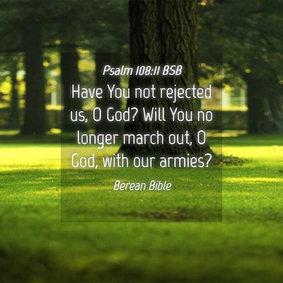 Picture 04 - Psalm 108:11 BSB - Have You not rejected us, O God? Will You no - Bible Verse Picture