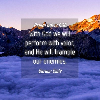 Picture 04 - Psalm 108:13 BSB - With God we will perform with valor, and He will - Bible Verse Picture