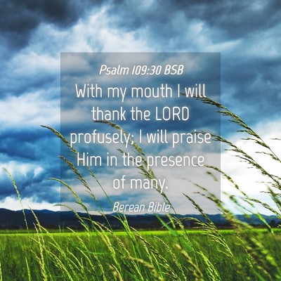 Picture 04 - Psalm 109:30 BSB - With my mouth I will thank the LORD profusely; I - Bible Verse Picture