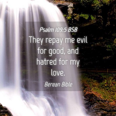Picture 04 - Psalm 109:5 BSB - They repay me evil for good, and hatred for my - Bible Verse Picture