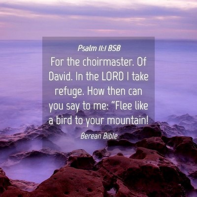 Picture 04 - Psalm 11:1 BSB - For the choirmaster. Of David. In the LORD I take - Bible Verse Picture