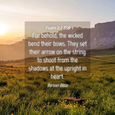 Picture 04 - Psalm 11:2 BSB - For behold, the wicked bend their bows. They set - Bible Verse Picture