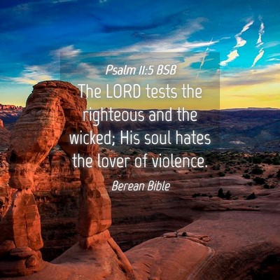 Picture 04 - Psalm 11:5 BSB - The LORD tests the righteous and the wicked; His - Bible Verse Picture