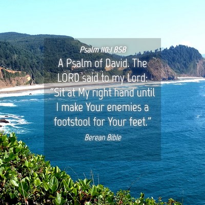 Picture 04 - Psalm 110:1 BSB - A Psalm of David. The LORD said to my Lord: - Bible Verse Picture
