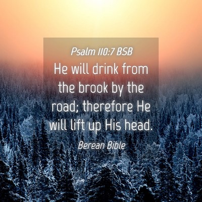 Picture 04 - Psalm 110:7 BSB - He will drink from the brook by the road; - Bible Verse Picture