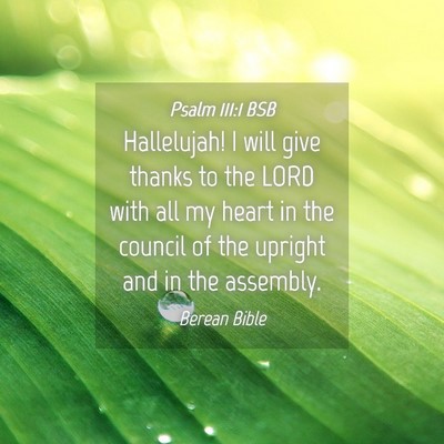 Picture 04 - Psalm 111:1 BSB - Hallelujah! I will give thanks to the LORD with - Bible Verse Picture
