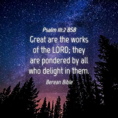 Picture 04 - Psalm 111:2 BSB - Great are the works of the LORD; they are - Bible Verse Picture