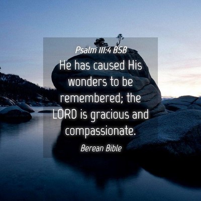 Picture 04 - Psalm 111:4 BSB - He has caused His wonders to be remembered; the - Bible Verse Picture