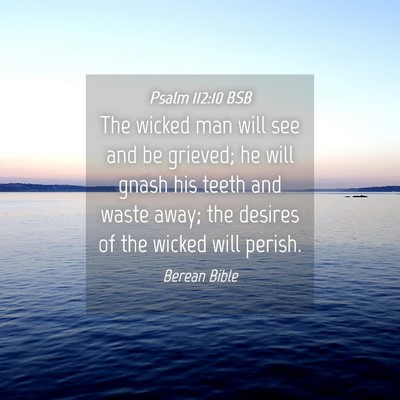 Picture 04 - Psalm 112:10 BSB - The wicked man will see and be grieved; he will - Bible Verse Picture