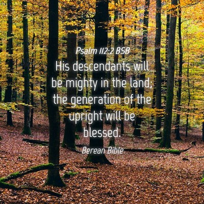 Picture 04 - Psalm 112:2 BSB - His descendants will be mighty in the land; the - Bible Verse Picture