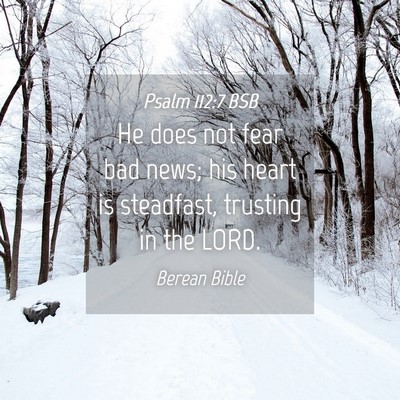 Picture 04 - Psalm 112:7 BSB - He does not fear bad news; his heart is - Bible Verse Picture