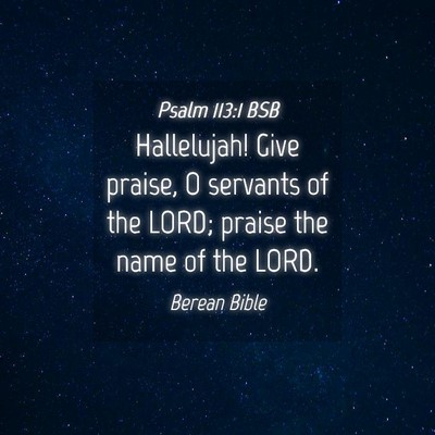 Picture 04 - Psalm 113:1 BSB - Hallelujah! Give praise, O servants of the LORD; - Bible Verse Picture