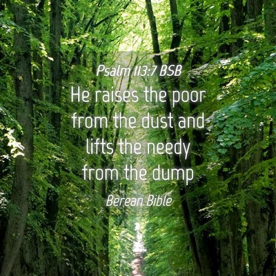 Picture 04 - Psalm 113:7 BSB - He raises the poor from the dust and lifts the - Bible Verse Picture