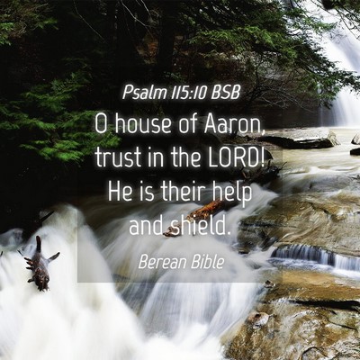 Picture 04 - Psalm 115:10 BSB - O house of Aaron, trust in the LORD! He is their - Bible Verse Picture