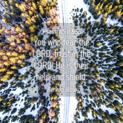 Picture 04 - Psalm 115:11 BSB - You who fear the LORD, trust in the LORD! He is - Bible Verse Picture