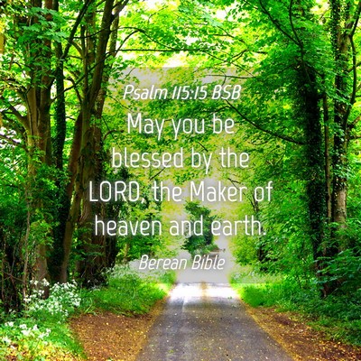 Picture 04 - Psalm 115:15 BSB - May you be blessed by the LORD, the Maker of - Bible Verse Picture