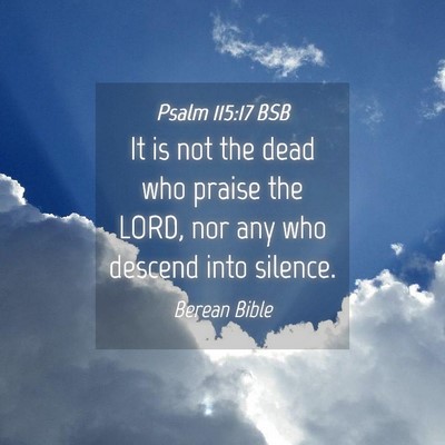 Picture 04 - Psalm 115:17 BSB - It is not the dead who praise the LORD, nor any - Bible Verse Picture