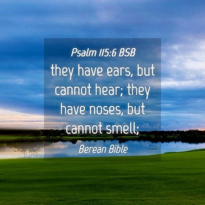 Picture 04 - Psalm 115:6 BSB - they have ears, but cannot hear; they have noses, - Bible Verse Picture