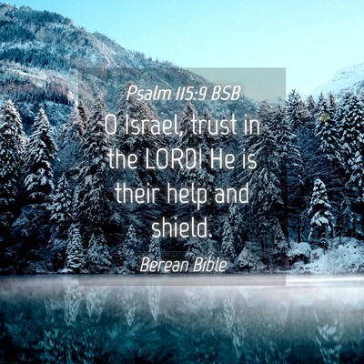 Picture 04 - Psalm 115:9 BSB - O Israel, trust in the LORD! He is their help and - Bible Verse Picture