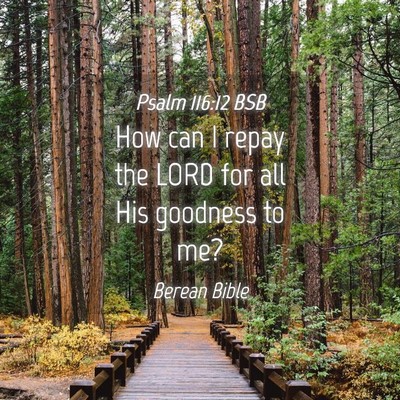 Picture 04 - Psalm 116:12 BSB - How can I repay the LORD for all His goodness to - Bible Verse Picture