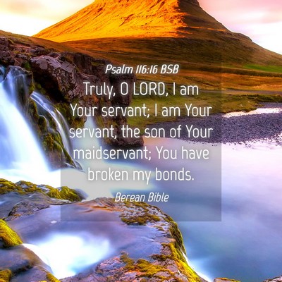 Picture 04 - Psalm 116:16 BSB - Truly, O LORD, I am Your servant; I am Your - Bible Verse Picture