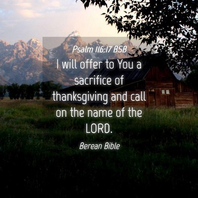 Picture 04 - Psalm 116:17 BSB - I will offer to You a sacrifice of thanksgiving - Bible Verse Picture