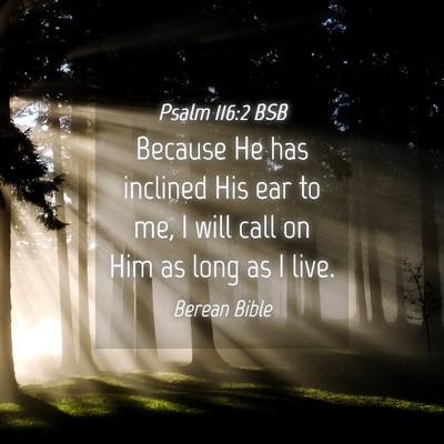 Picture 04 - Psalm 116:2 BSB - Because He has inclined His ear to me, I will - Bible Verse Picture