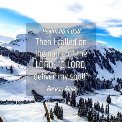 Picture 04 - Psalm 116:4 BSB - Then I called on the name of the LORD: “O LORD, - Bible Verse Picture