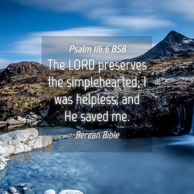 Picture 04 - Psalm 116:6 BSB - The LORD preserves the simplehearted; I was - Bible Verse Picture