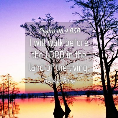 Picture 04 - Psalm 116:9 BSB - I will walk before the LORD in the land of the - Bible Verse Picture