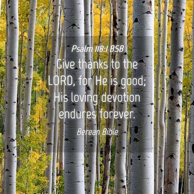 Picture 04 - Psalm 118:1 BSB - Give thanks to the LORD, for He is good; His - Bible Verse Picture