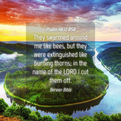 Picture 04 - Psalm 118:12 BSB - They swarmed around me like bees, but they were - Bible Verse Picture