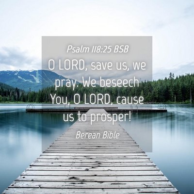 Picture 04 - Psalm 118:25 BSB - O LORD, save us, we pray. We beseech You, O LORD, - Bible Verse Picture