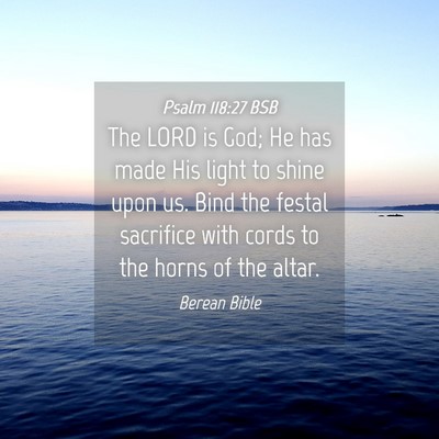 Picture 04 - Psalm 118:27 BSB - The LORD is God; He has made His light to shine - Bible Verse Picture
