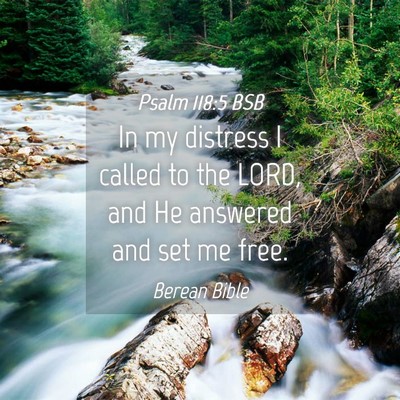 Picture 04 - Psalm 118:5 BSB - In my distress I called to the LORD, and He - Bible Verse Picture
