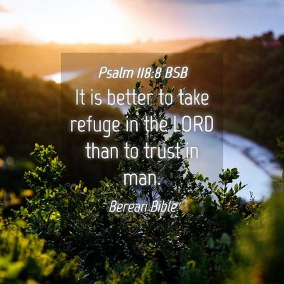 Picture 04 - Psalm 118:8 BSB - It is better to take refuge in the LORD than to - Bible Verse Picture