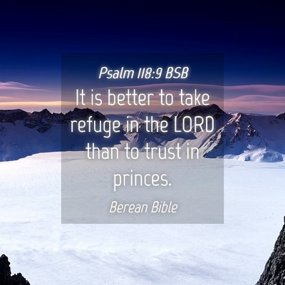 Picture 04 - Psalm 118:9 BSB - It is better to take refuge in the LORD than to - Bible Verse Picture