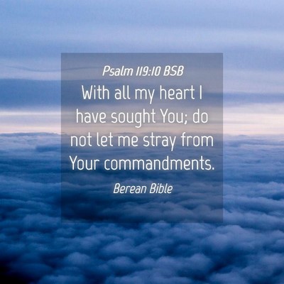 Picture 04 - Psalm 119:10 BSB - With all my heart I have sought You; do not let - Bible Verse Picture