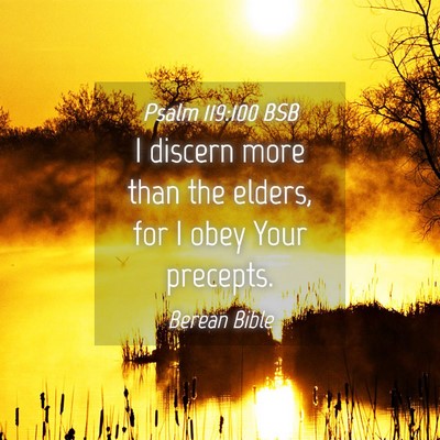 Picture 04 - Psalm 119:100 BSB - I discern more than the elders, for I obey Your - Bible Verse Picture