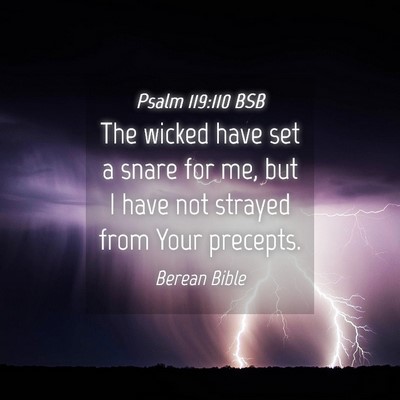 Picture 04 - Psalm 119:110 BSB - The wicked have set a snare for me, but I have - Bible Verse Picture