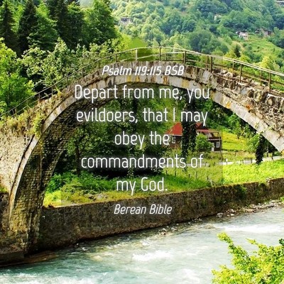 Picture 04 - Psalm 119:115 BSB - Depart from me, you evildoers, that I may obey - Bible Verse Picture