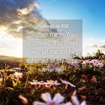Picture 04 - Psalm 119:116 BSB - Sustain me as You promised, that I may live; let - Bible Verse Picture