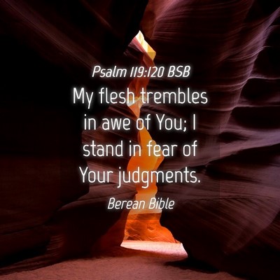 Picture 04 - Psalm 119:120 BSB - My flesh trembles in awe of You; I stand in fear - Bible Verse Picture